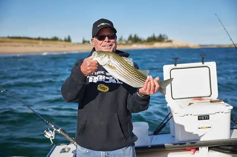 Tip - Caring For Your Rods and Reels After Saltwater Fishing 